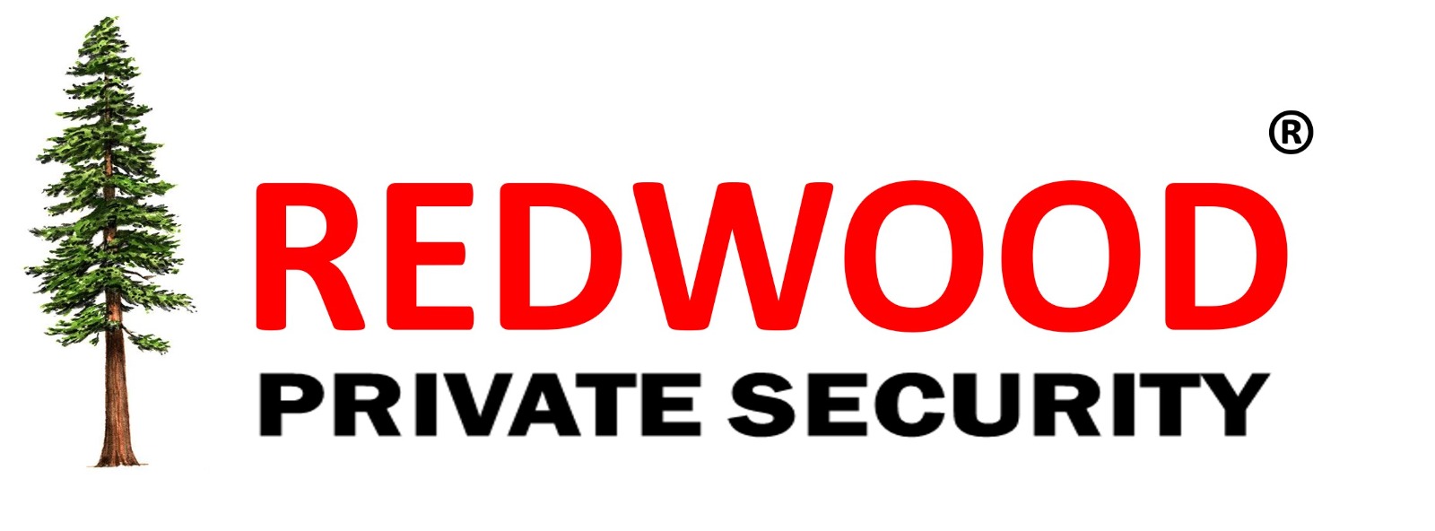 redwoodtrainingacademy.com
